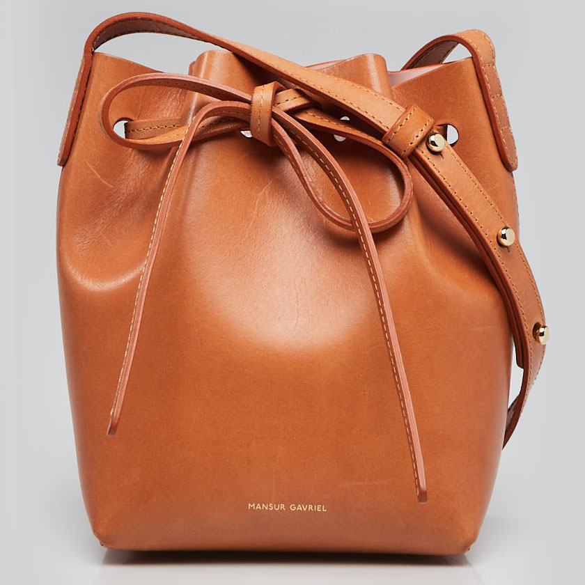 Best Bags For Your Zodiac Sign | Aquarius: Mansur Gavriel Mini Mini Bucket Bag | YoogisCloset.com